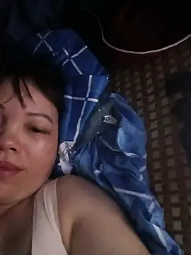 Sana-vn webcam