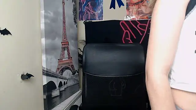 StellaCRL webcam