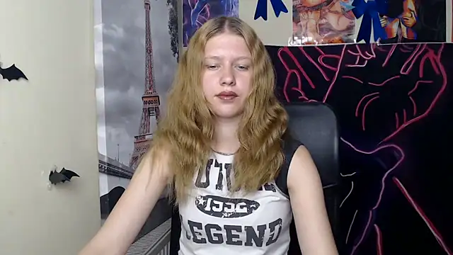 StellaCRL webcam