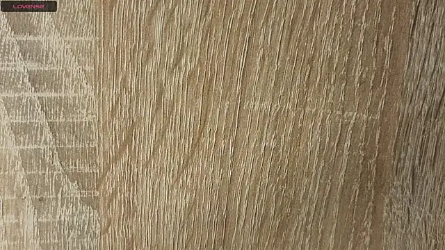 NoFace_Model webcam
