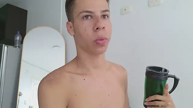 grey___27 webcam