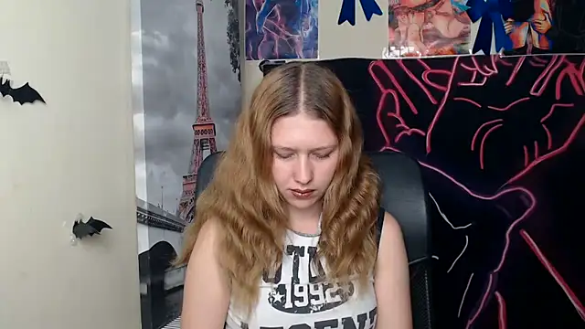 StellaCRL webcam