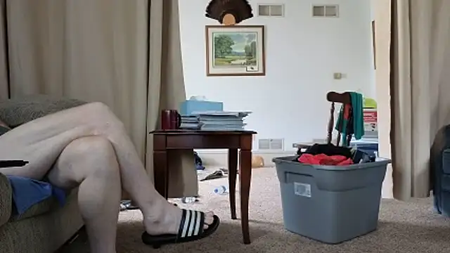 CDforU webcam
