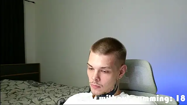 DENIS_HERE webcam