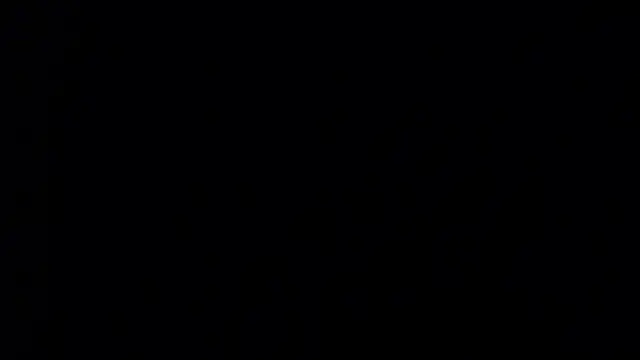 Bdsm_and_fries webcam