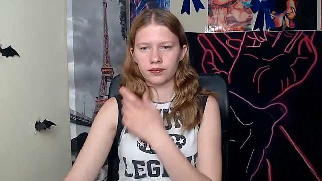 StellaCRL webcam