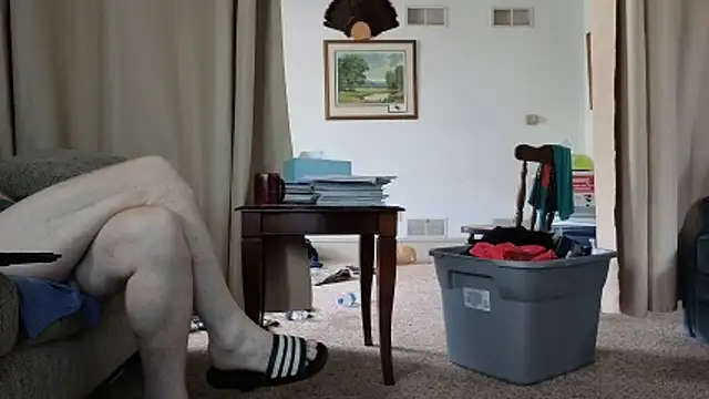 CDforU webcam