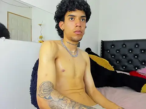 Ryder-Stone webcam