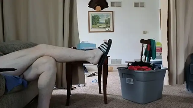 CDforU webcam