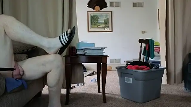 CDforU webcam