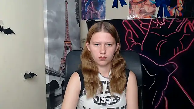 StellaCRL webcam