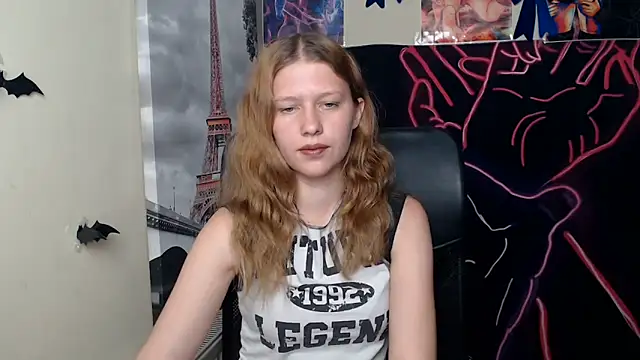 StellaCRL webcam