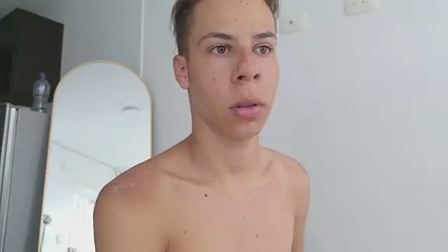 grey___27 webcam
