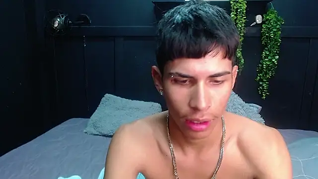 Jesve webcam