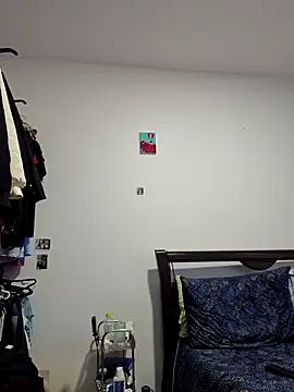 IrisBound webcam