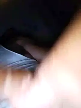 Pitercom webcam