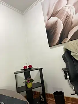 DulceRodriguez1 webcam