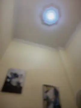 LeylaKnox webcam