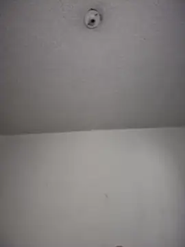 aurora_divine webcam