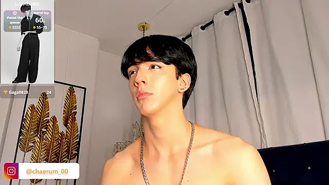 AerumChae webcam