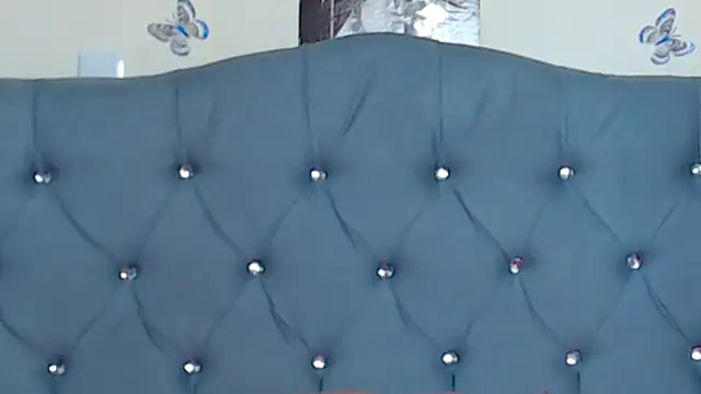 VICTORYXS1 webcam