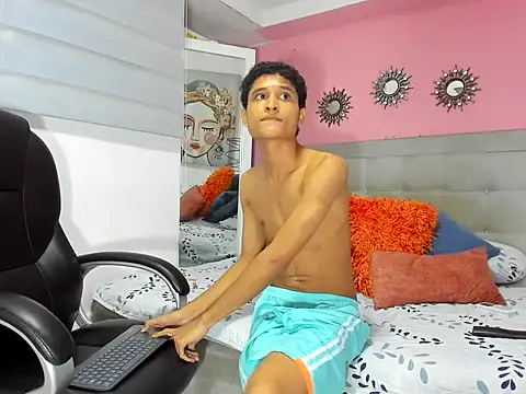 Xavier-Fox webcam