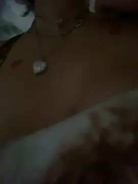 TheDime webcam
