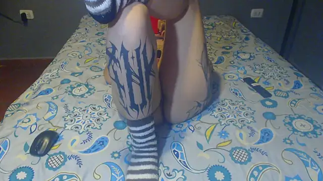Darkvib webcam