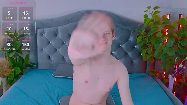 Allert_ webcam