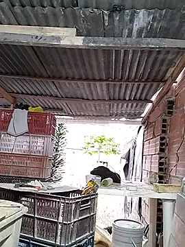 hoteder's live cam