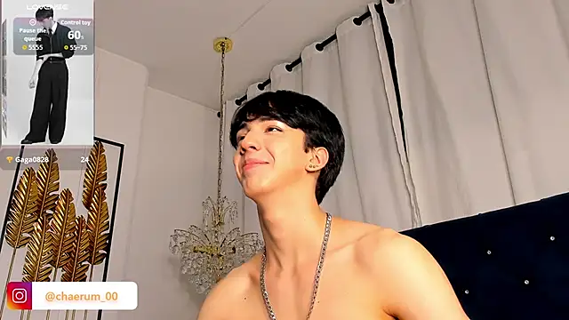 AerumChae webcam