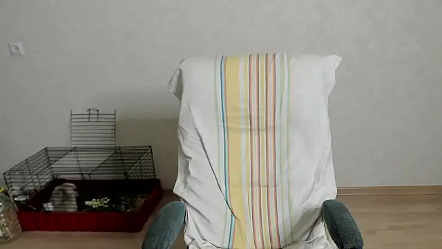 maks_wolfis webcam