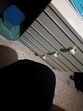 Neneotaku webcam