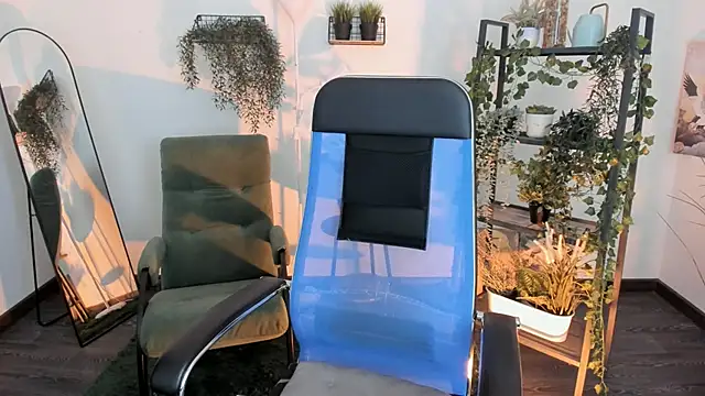 VirtuallVoyant webcam