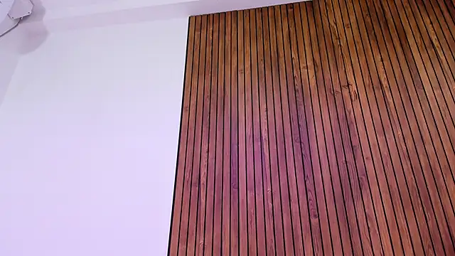 lady_mei webcam