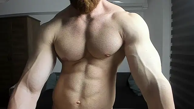 ZkkBlitz webcam