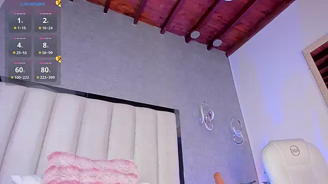 Ambarr_Moon_ webcam