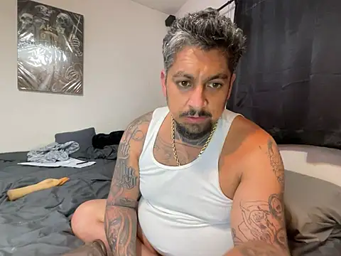 Vision1285 webcam