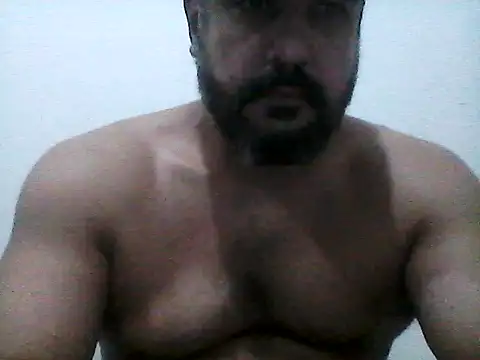 stallony webcam
