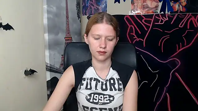 StellaCRL webcam