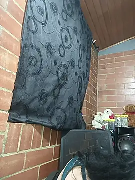 Alexandrina webcam