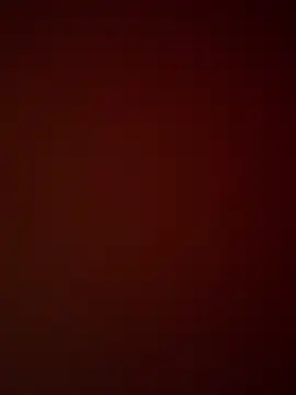 TurkeyMen webcam