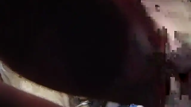 kotkite webcam