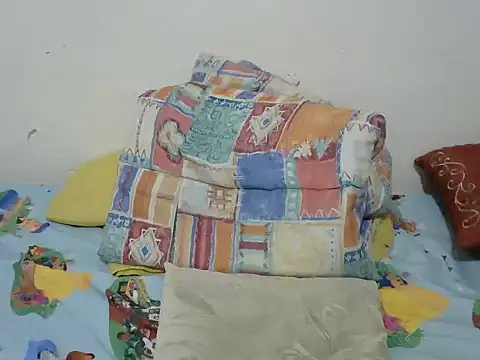 playfullnova webcam