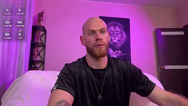 FireBeard_ webcam
