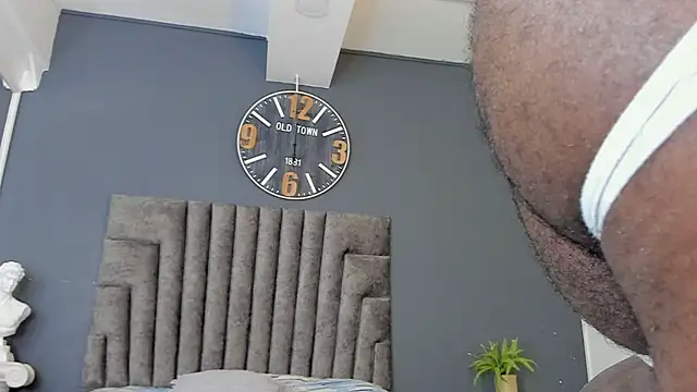 Robin_Rief webcam