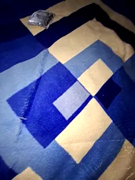 pollin_10 webcam