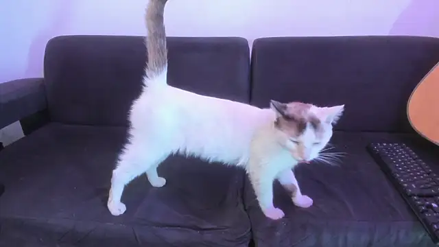 Henrikk_senn webcam