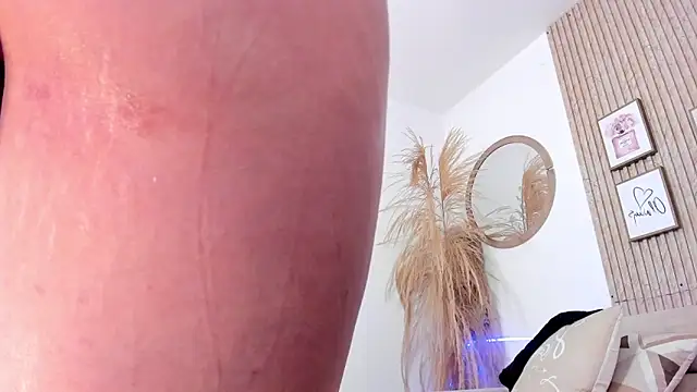Miacorner_ webcam