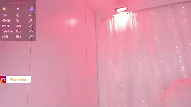 Alice_winter_ webcam